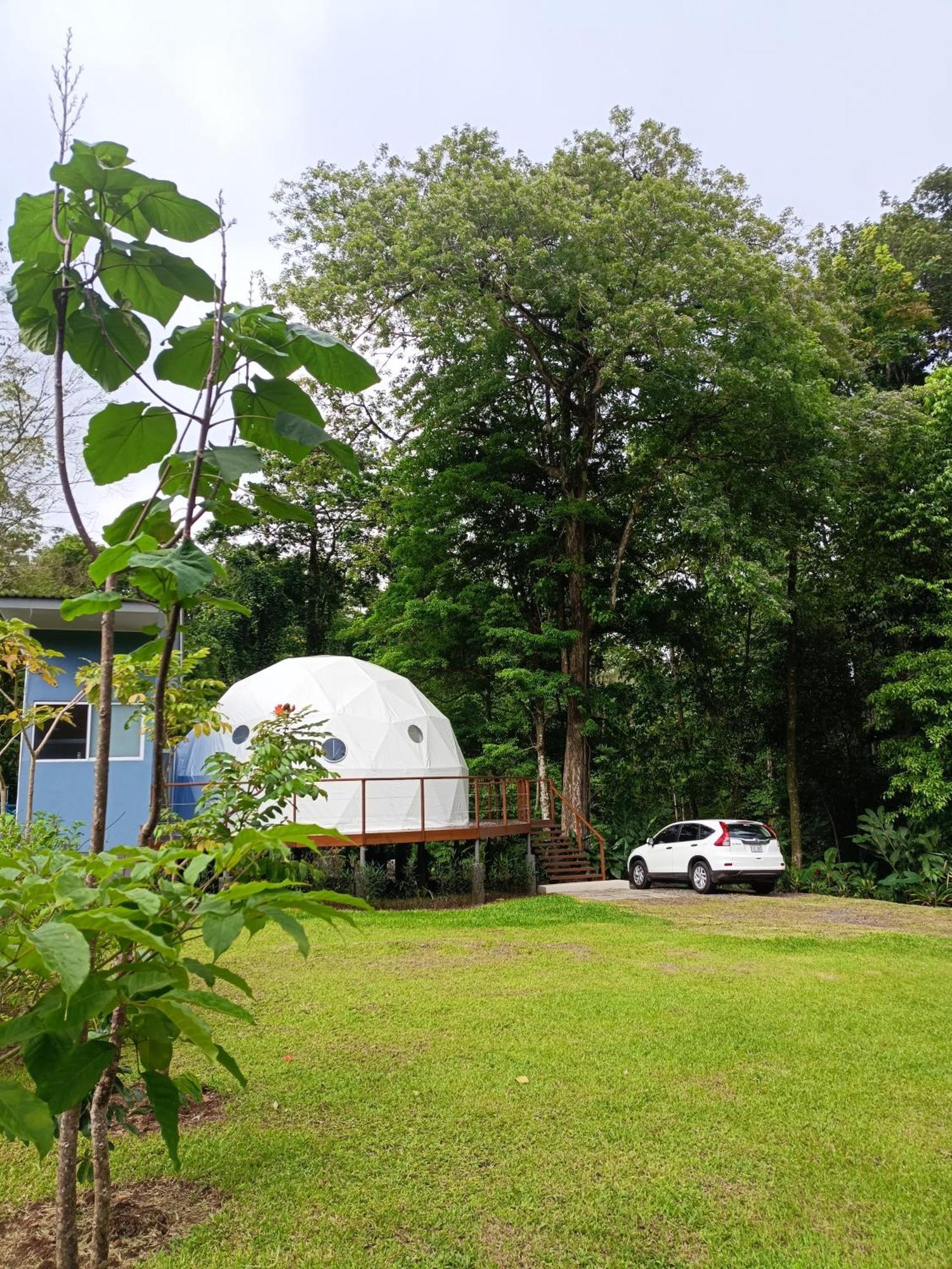 Bitzu Dome-Bijagua Riverside Glamping Eksteriør billede