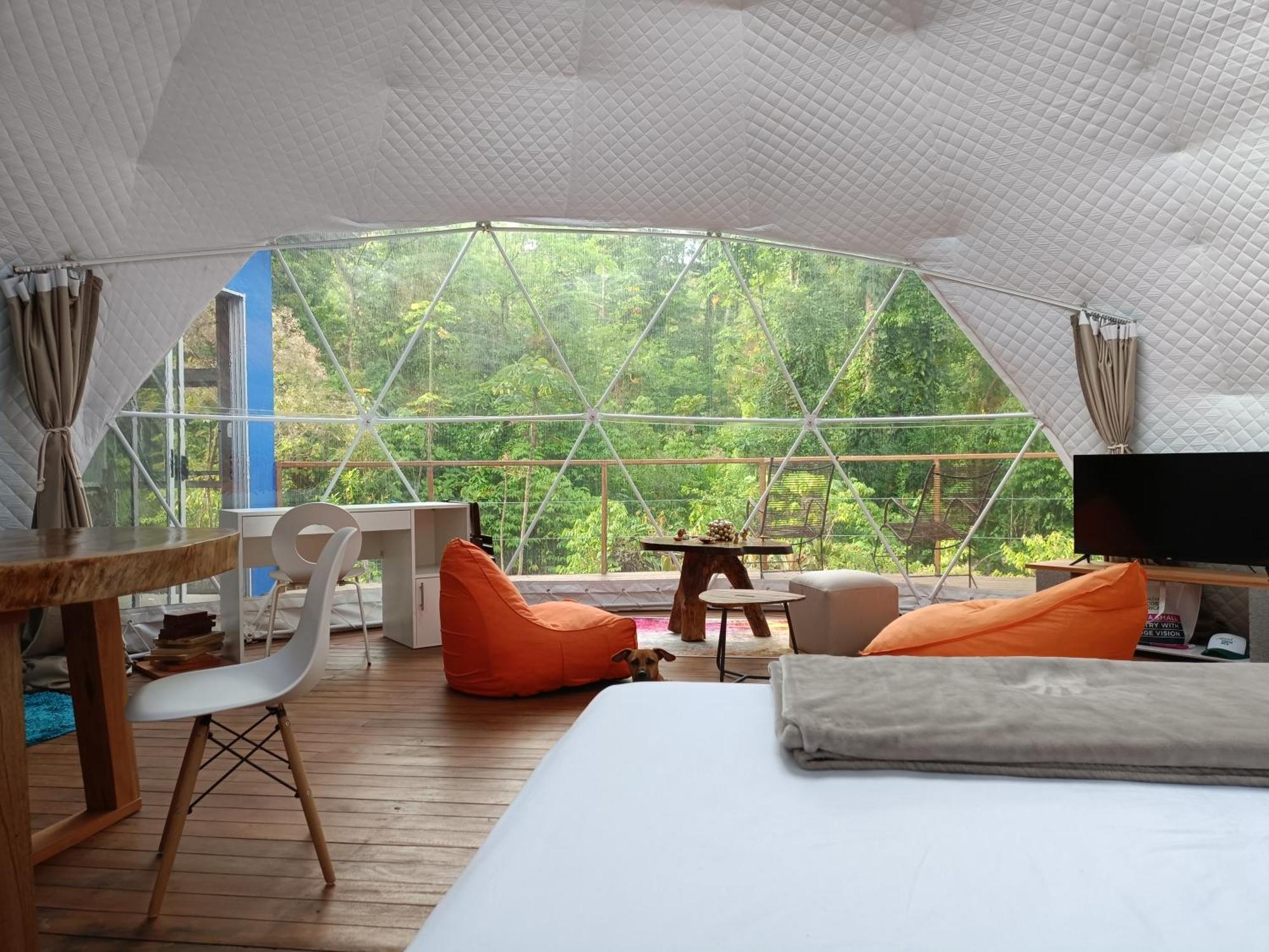 Bitzu Dome-Bijagua Riverside Glamping Eksteriør billede