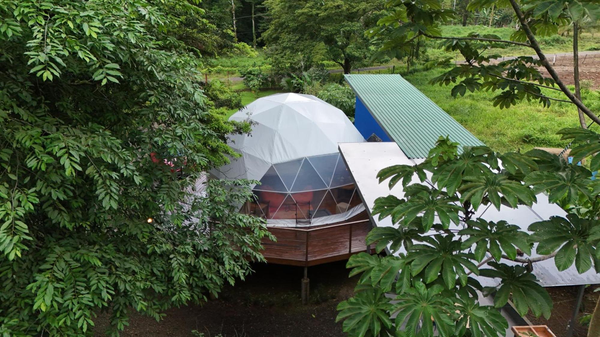 Bitzu Dome-Bijagua Riverside Glamping Eksteriør billede